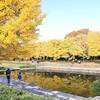 秋の絶景！昭和記念公園で紅葉狩り｜2024年見頃の時期、イチョウ並木の状況、カナール、見どころ、料金（東京都立川市）