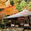 高山寺　明恵　　あるべきように　自然のままに