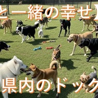【2025年最新】福岡のドッグラン＆ドッグカフェ：ペット(犬)可のおすすめ施設60選！