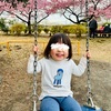 河津桜のある公園