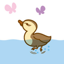 duck2germany’s blog