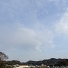 お花見日和に思う平和