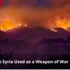 戦争兵器として使用されたシリアの山火事⚡️　スティーブン・サヒウニー