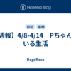 【週報】4/8-4/14　Pちゃんのいる生活