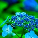 日々是成長