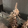 さすがに暖房