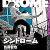 迷妄を乗りこなす？〜佐藤哲也『シンドローム』