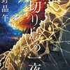 歌野晶午『首切り島の一夜』感想
