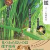 【お前もか…】ニューオータニインの朝食にカエル混入していた模様