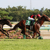 日曜競馬　展望