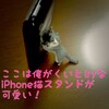 ここは俺がくいとめる(ryなiPhone猫スタンドが使いやすくて可愛い！！