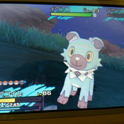 色違いポケモン カテゴリーの記事一覧 ゲームロッカールーム