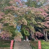 最後くらい仙台らしく
