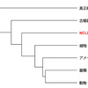 じじぃの「カオス・地球_189_ウイルスとは何か・第2章・ウイルスの起源・古い起源をもつウイルス」