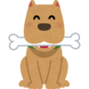悩ましい犬のデンタルケア。犬用入れ歯は無いのです。だからケアして長生きしよう！