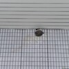晴れたのでコインランドリーに洗濯物を持って行った