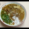 【四国&九州(6)】徳島県徳島市を観光【徳島ラーメン・阿波おどり会館】