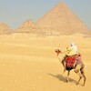 弱小国の悲愴　―第二次世界大戦下のエジプト情勢―