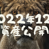 【資産公開】2022年12月の資産状況（前月比+11万）