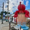 日間賀島の池もどき（愛知県日間賀島）