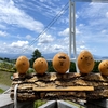 カラフルな三角屋根が並ぶ住宅街と空中散歩！