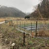 吐山無山生き物の里づくりのブログが始まります！