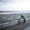 Monochrome