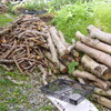 　チェーンソーで薪づくり