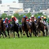  皐月賞 オススメ馬と注目馬は！！？