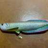 アロワナ殺魚事件