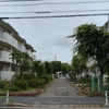 (巻四十四) そのうちに捨つる木の実を拾ひけり(中島正則)