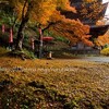 舞鶴・金剛院