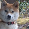 ごめんなさい🙇まひるの逃亡劇