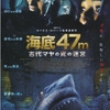 夏だ！海だ！サメ映画だ！『海底47m　古代マヤの死の迷宮』感想と見どころ