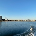 釣船レビュー 東京湾 ミナミ釣船 海であそぼう