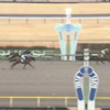 ２月２日　勝負・注目レース結果　◎アルファマムは７番人気３着　