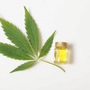 Cannabidiol Oil: Know Its Own Usages And Also Benefits