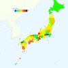 Motor Vehicle Deaths in Japan, 2014