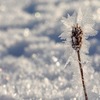 立春　地球がもっと愛おしくなる