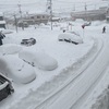 3歳　1月9日　雪