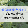 ブロッコリーは洗わないとヤバイ！正しい洗い方