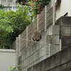 ミラーレス一眼とジンバルを使った長距離望遠動画撮影　その１