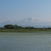 ◆'23/05/20　鳥海山・鉾立より①…出発～鉾立～賽の河原