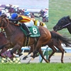 競馬初心者必見☆馬券予想🔥〜シルクロードステークス〜3年連続京阪杯組が連対中！〜