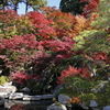 釈迦山 百濟寺の紅葉