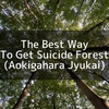 The Best Way To Get Suicide Forest (Aokigahara Jyukai) from Camp Fuji