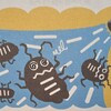 ゴキブリ駆除を考えてみる