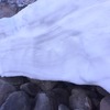 早春の渓のリサーチ