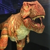 特別展「ティラノサウルス展～T.rex驚異の肉食恐竜～」