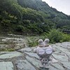おはようございます！